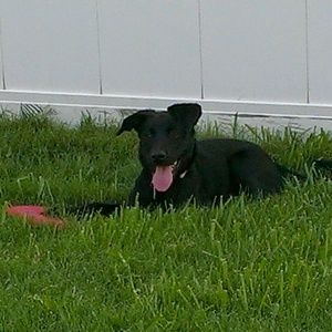 Meet your Posher, Mark